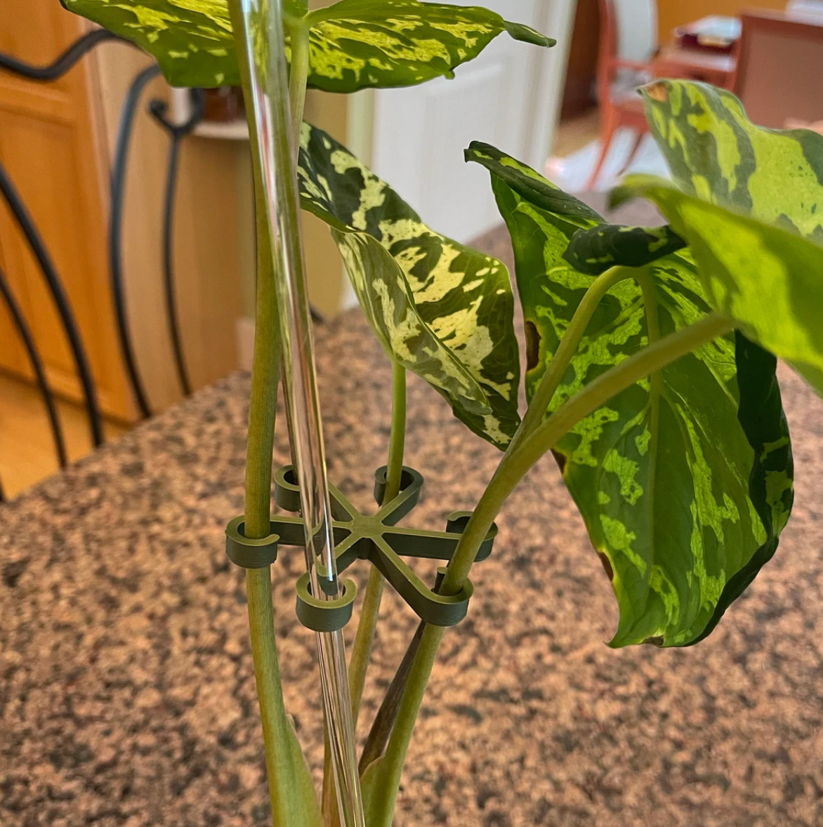 Plant Stem Supports